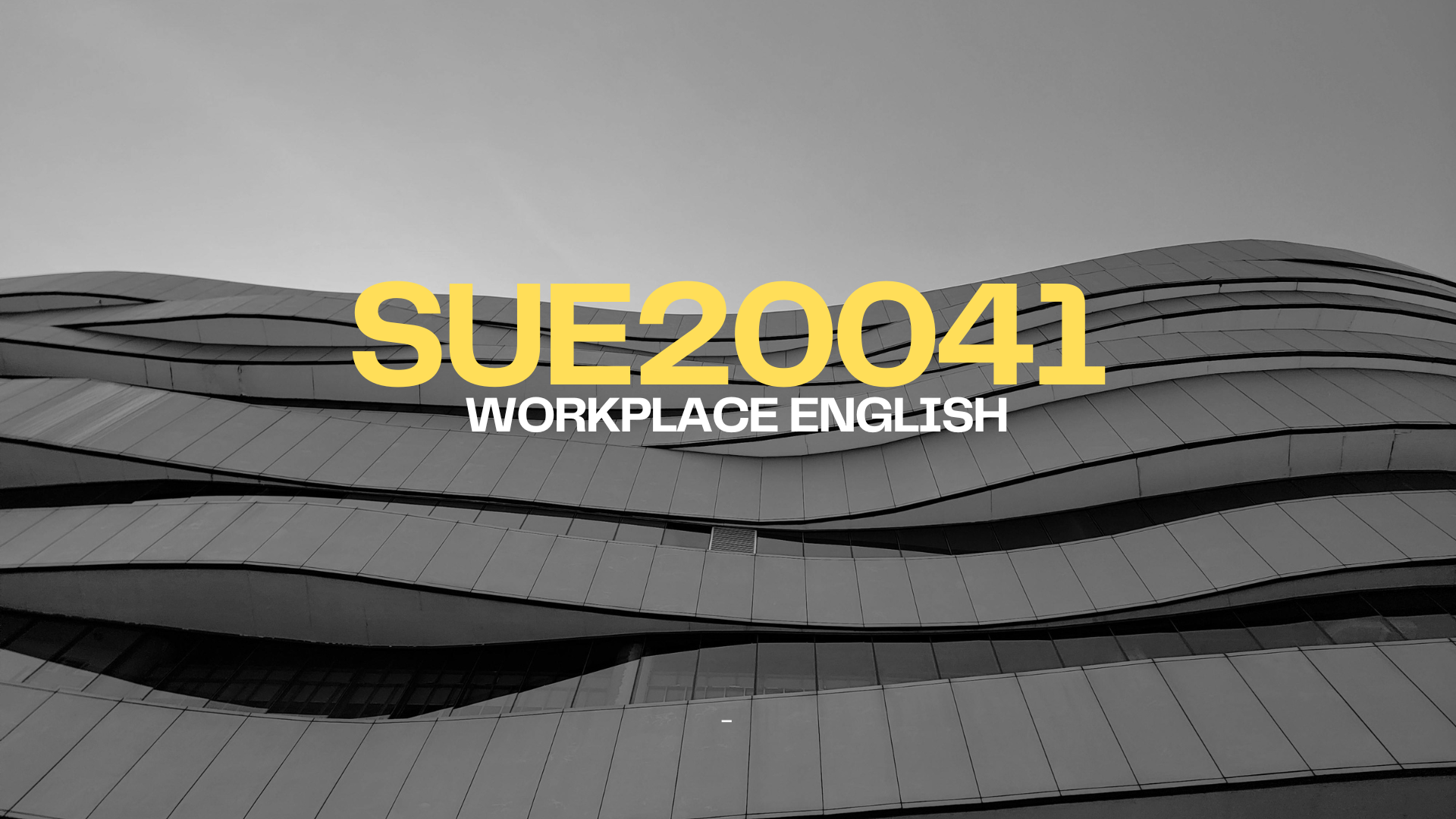 SUE20041 WORKPLACE ENGLISH
