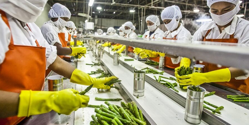 SPK10152 PENGENALAN INDUSTRI MAKANAN
